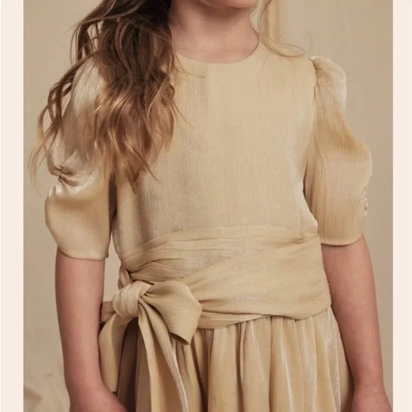 Noralee Josephine Tan Dress with Bow Apricot Gold and Gorgeous size 10 Holiday - Picture 3 of 4